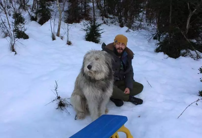 Majatalo Casuta Didi