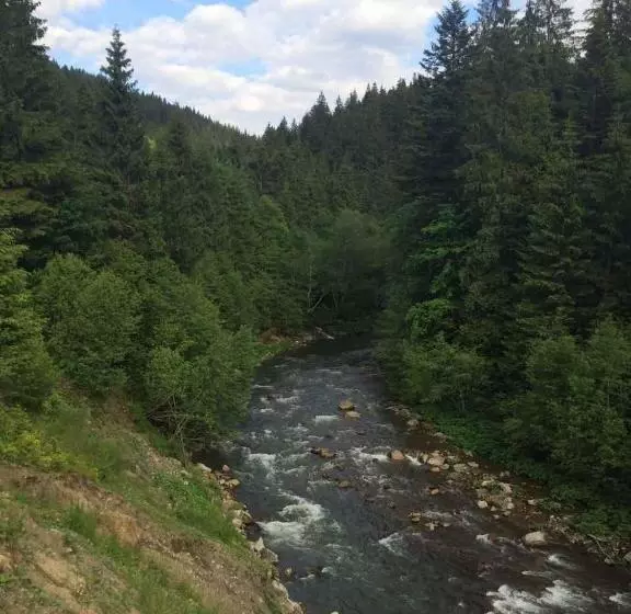 Majatalo Synevyrskyj Chardash