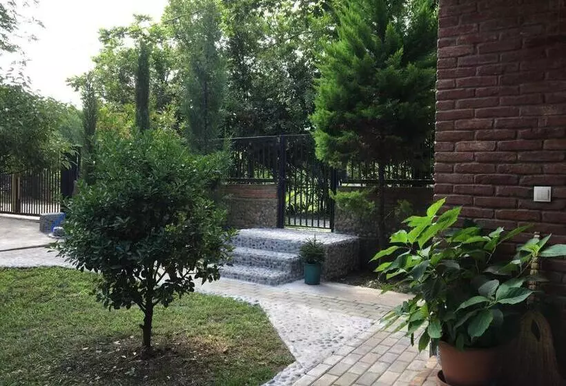 پانسیون Guest House Shekvetili