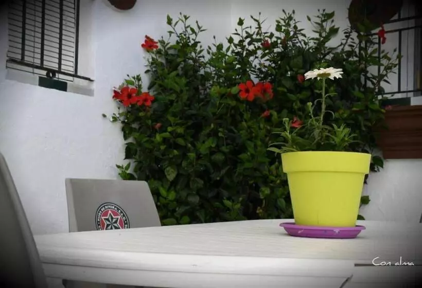 پانسیون Hostal Costa De La Luz