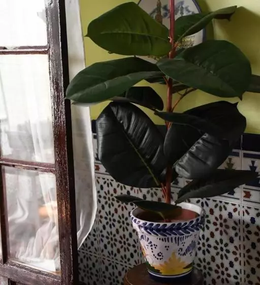 پانسیون Hostal Costa De La Luz