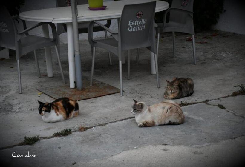 Pensió Hostal Costa De La Luz
