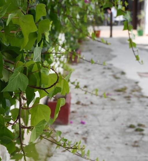 Pensió Hostal Costa De La Luz