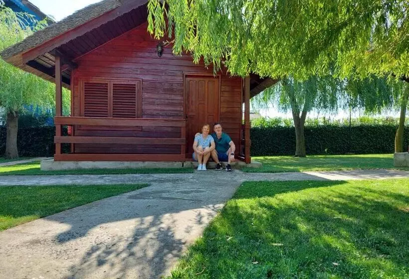 Pensiunea La Tavi