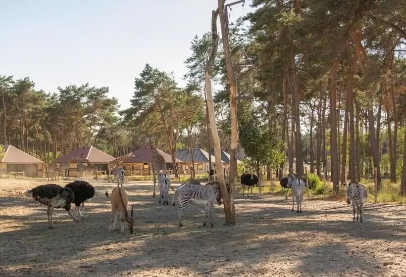 Safari Resort Beekse Bergen
