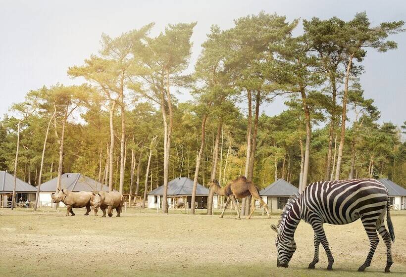 Safari Resort Beekse Bergen