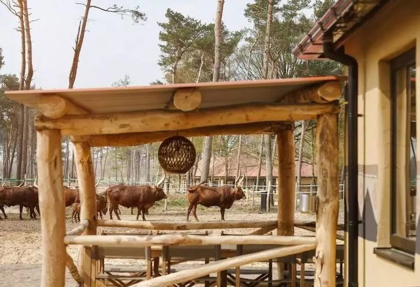 Safari Resort Beekse Bergen