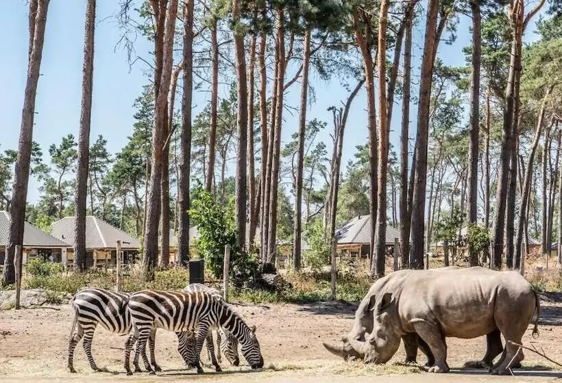 Safari Resort Beekse Bergen