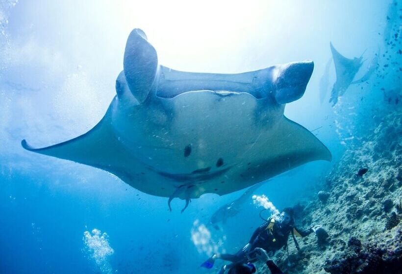 هتل Tme Retreats Dhigurah