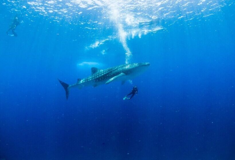 هتل Tme Retreats Dhigurah