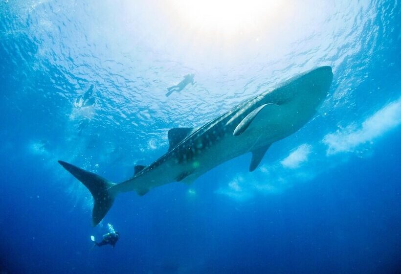 هتل Tme Retreats Dhigurah