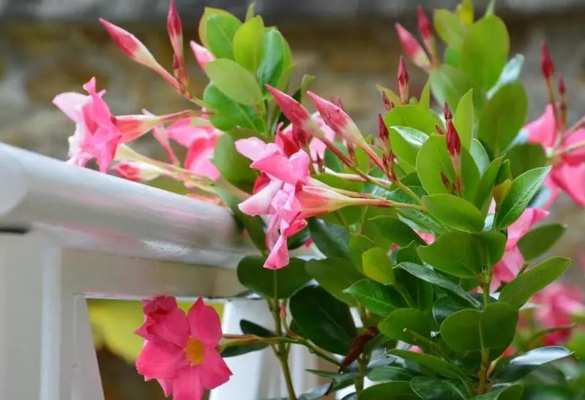 ホテル Hôtel Les Comtes De Pardiac