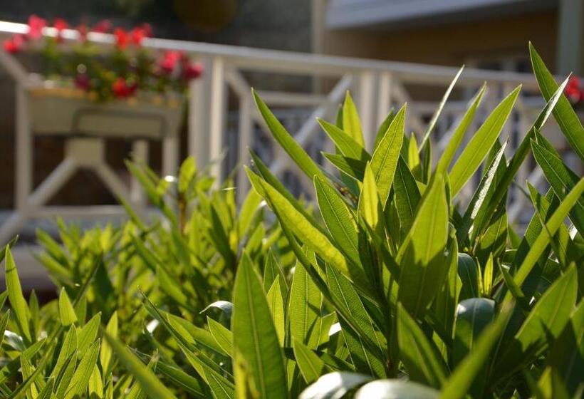 酒店 Hôtel Les Comtes De Pardiac