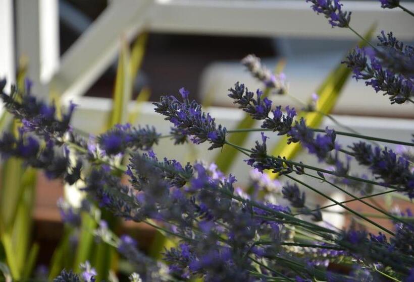 酒店 Hôtel Les Comtes De Pardiac