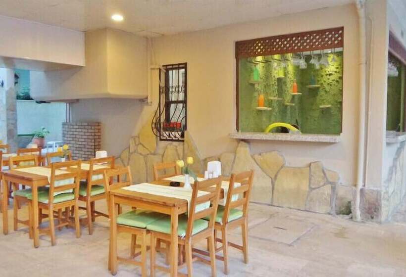 호텔 Kleopatra Carina