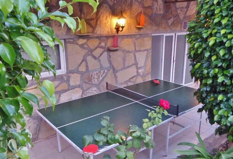 호텔 Kleopatra Carina