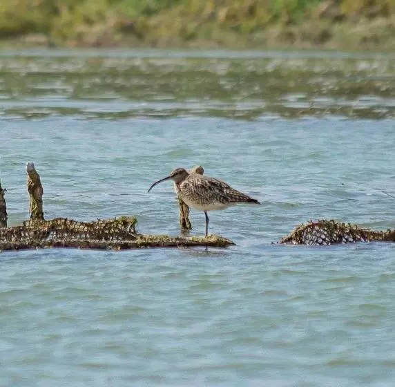 هتل La Sultana Oualidia