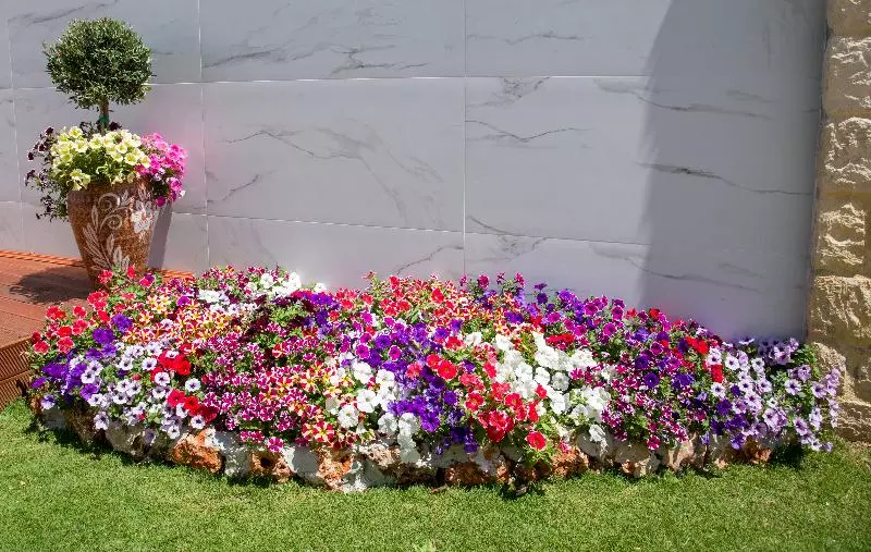 Paradice Hotel Luxury Suites Near Zorbas Beach Free Breakfast