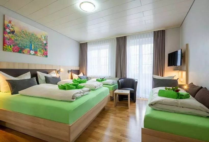 ホテル Garni Seerose Lindau Insel Zentrum Bodensee