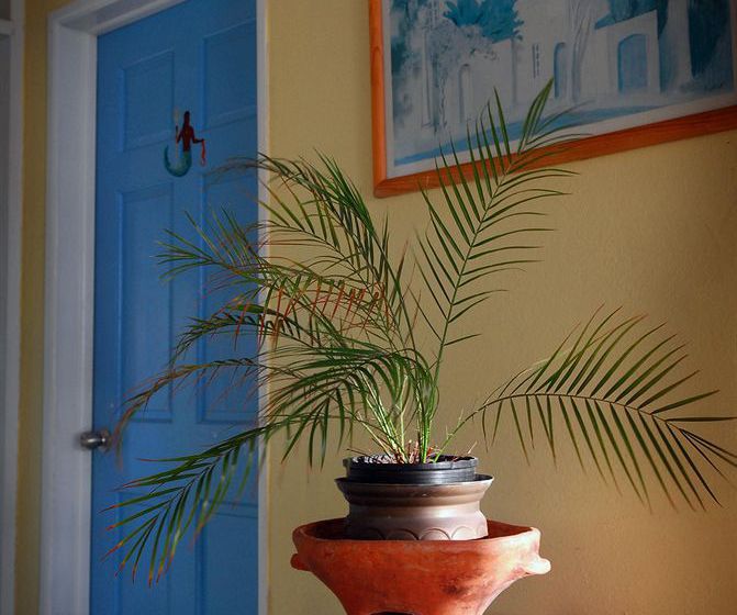 هتل Anchorage Inn