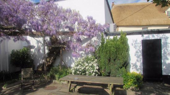 호텔 Thorverton Arms