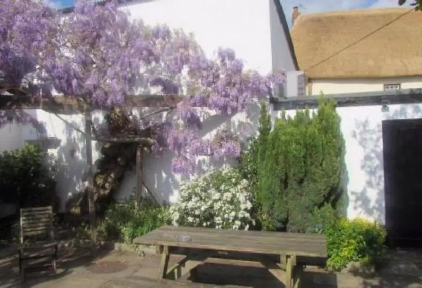 Отель Thorverton Arms