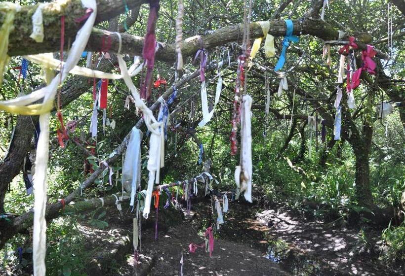 酒店 Torwood House