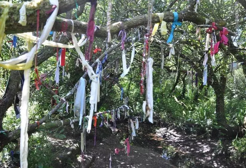 酒店 Torwood House