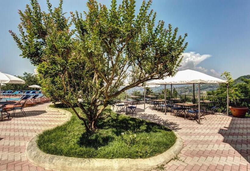 ホテル Villa Romita