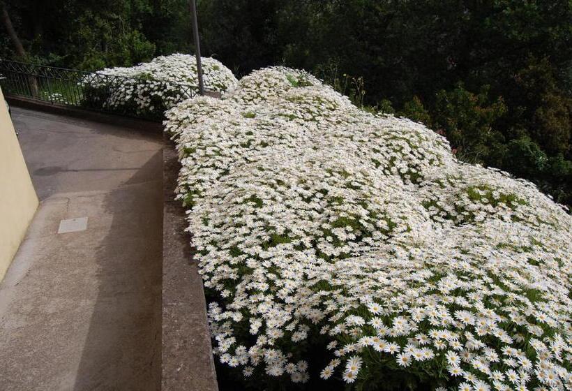 ホテル Villa Romita