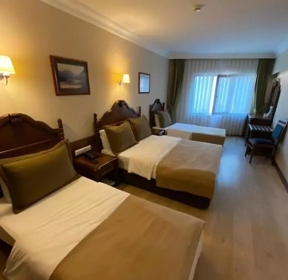 هتل Büyük Levent