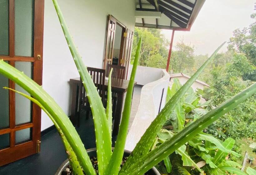 Pensão Sun White Villa