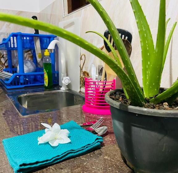 Pensão Sun White Villa