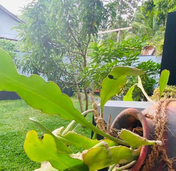 Pensão Sun White Villa