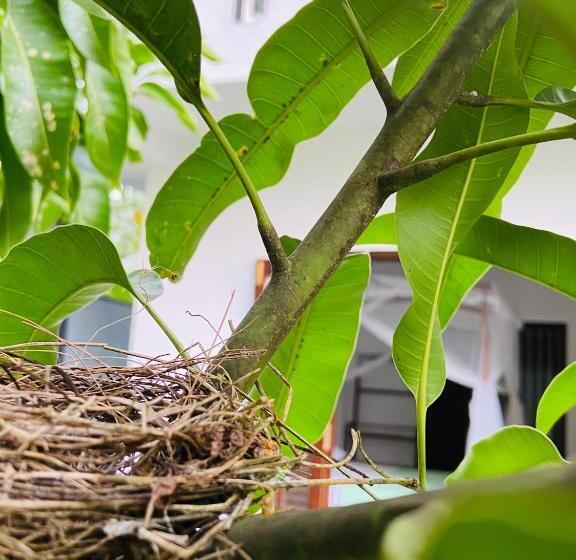 Pensão Sun White Villa