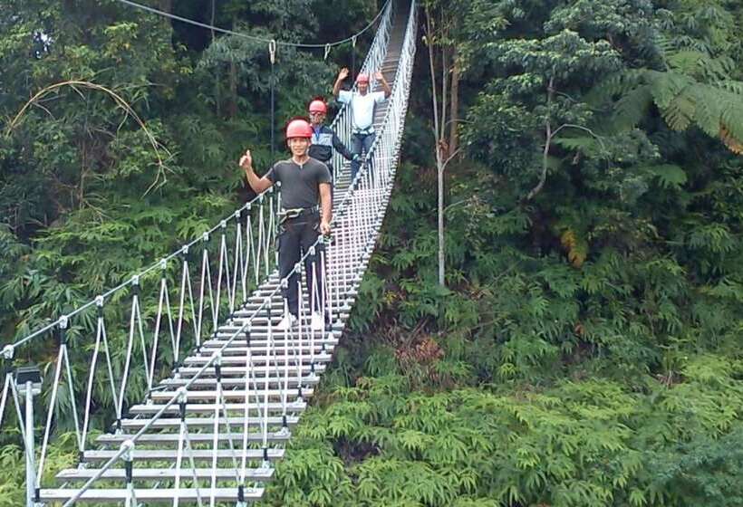 호텔 Colmar Tropicale