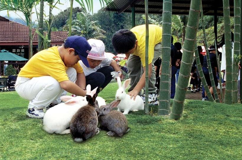 호텔 Colmar Tropicale