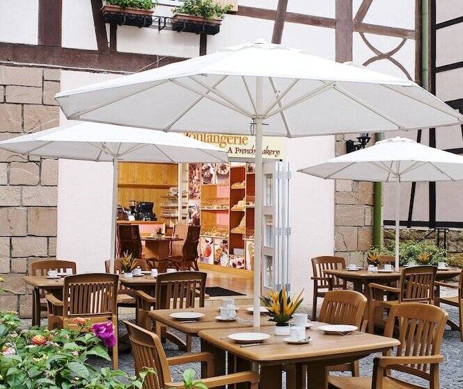 호텔 Colmar Tropicale