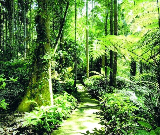 호텔 Colmar Tropicale