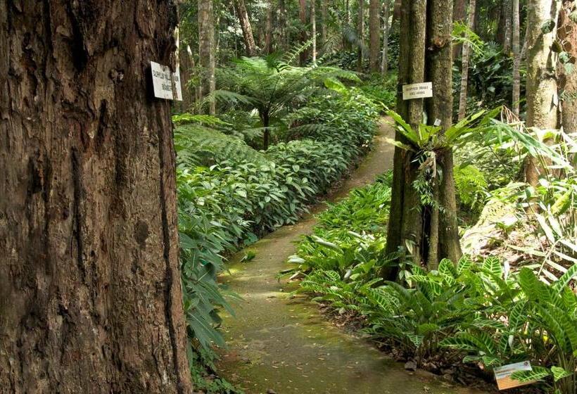 호텔 Colmar Tropicale