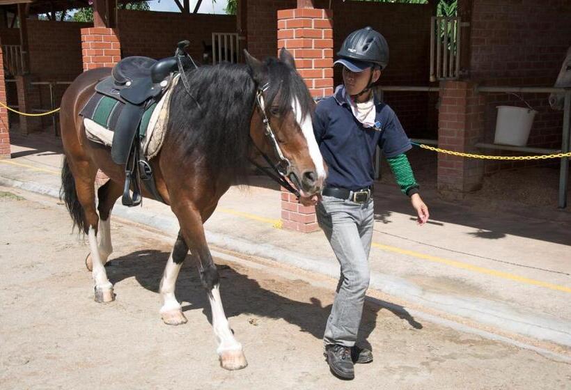 호텔 Colmar Tropicale