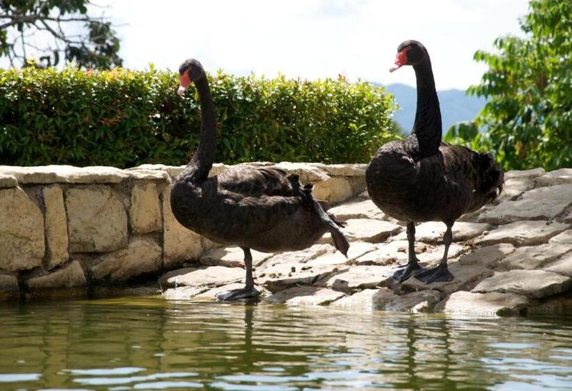 호텔 Colmar Tropicale