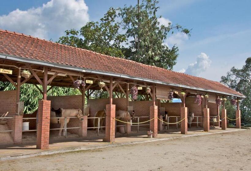 호텔 Colmar Tropicale