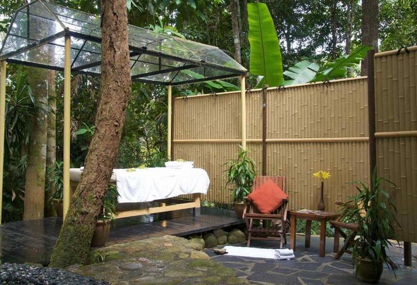 호텔 Colmar Tropicale