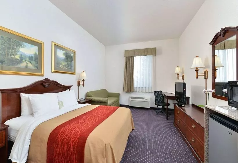 هتل Comfort Inn And Suites