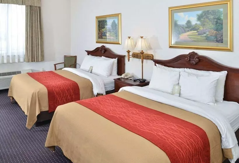 هتل Comfort Inn And Suites