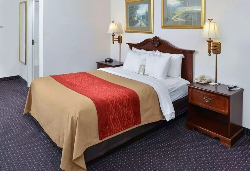 هتل Comfort Inn And Suites