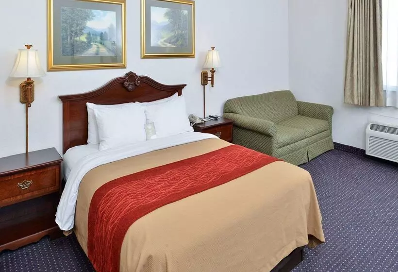 هتل Comfort Inn And Suites