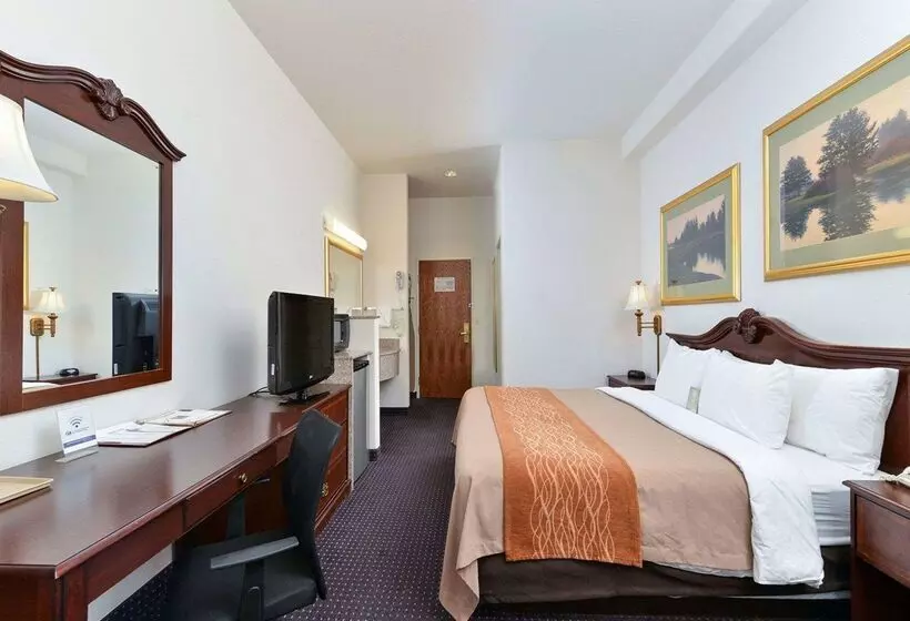 هتل Comfort Inn And Suites