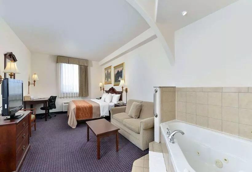 هتل Comfort Inn And Suites